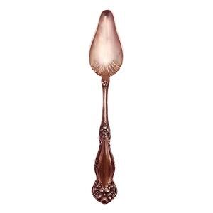 Antique 1908 International Wm Rogers & Son "Arbutus" Silverplate Fruit Spoon